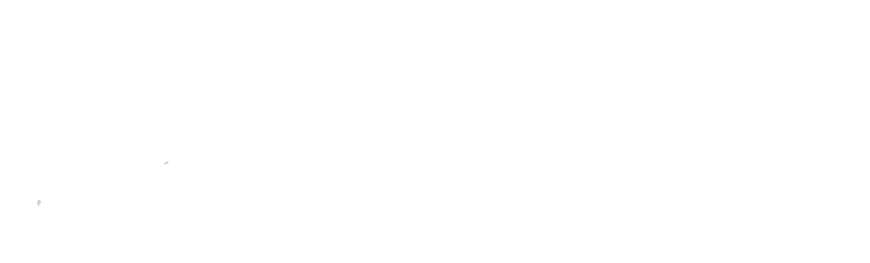 University of Bristol Logo